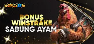 bonus winstrake sabung ayam